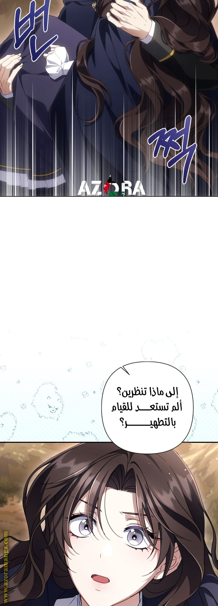 الصفحة 41