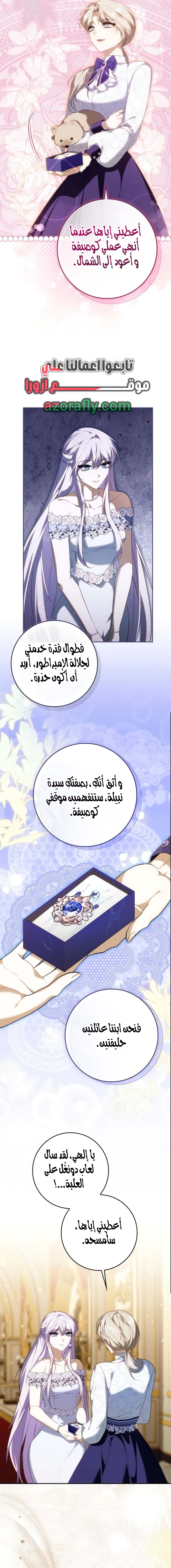 الصفحة 13