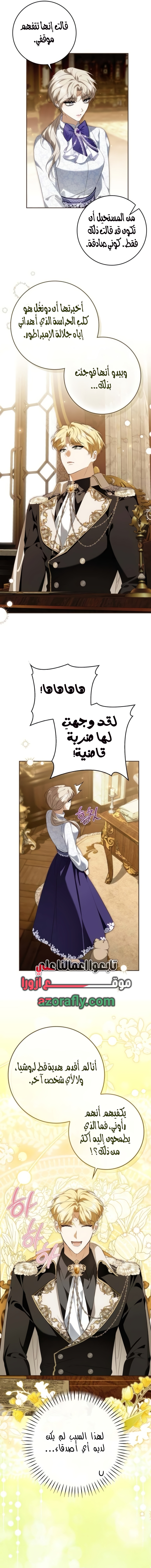 الصفحة 17