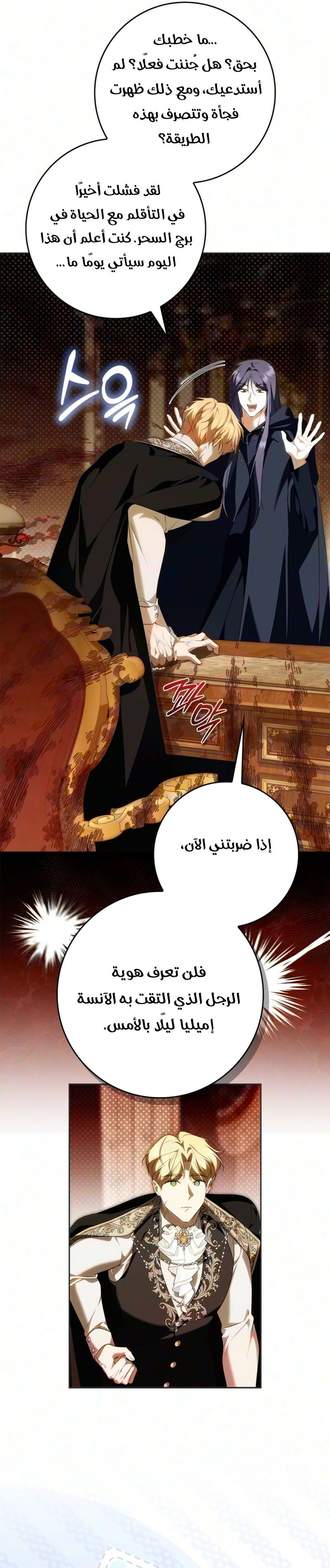 الصفحة 17