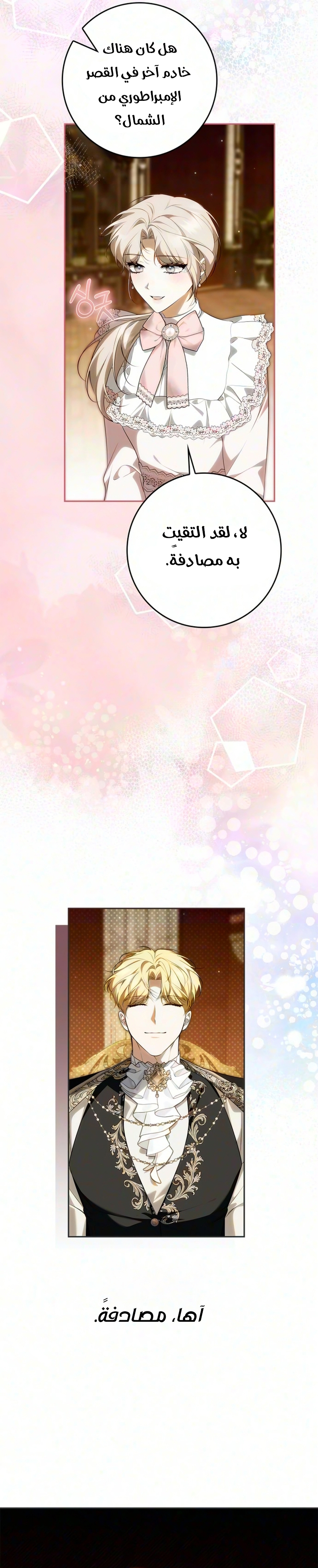 الصفحة 28