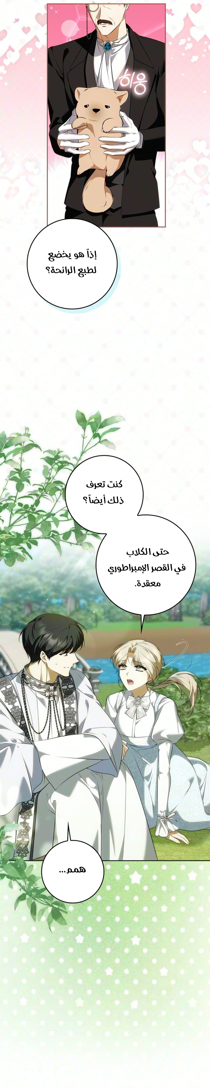 الصفحة 14