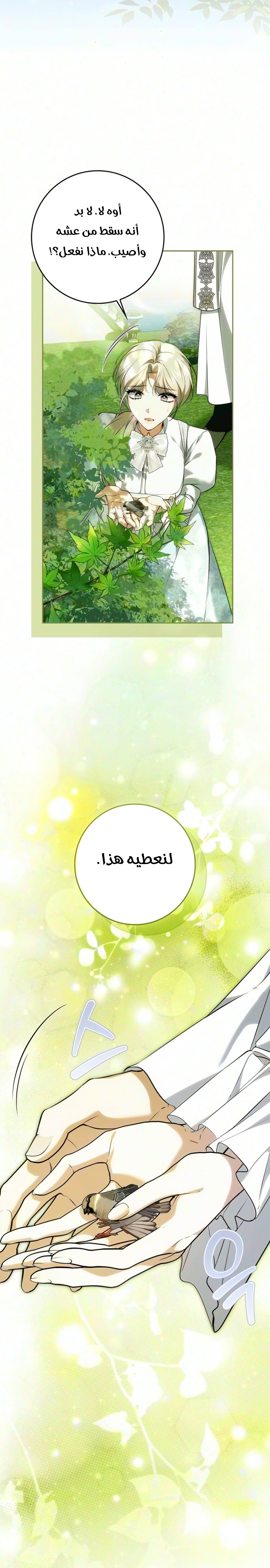 الصفحة 17