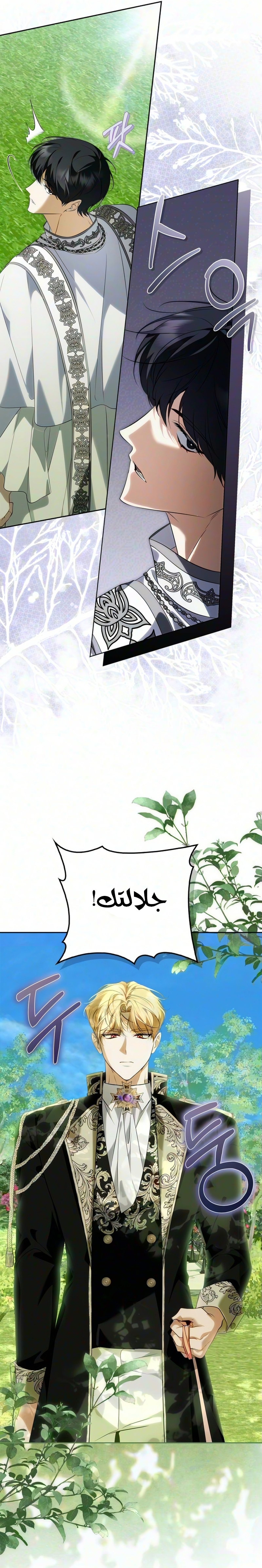 الصفحة 24