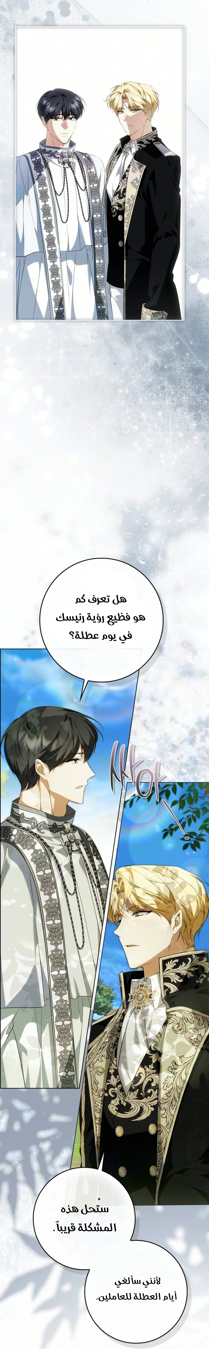 الصفحة 27