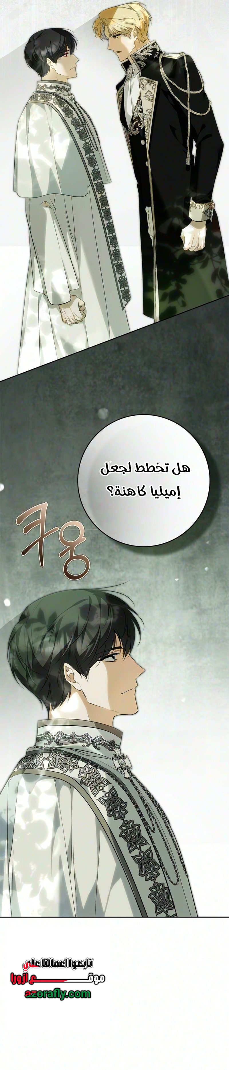 الصفحة 29