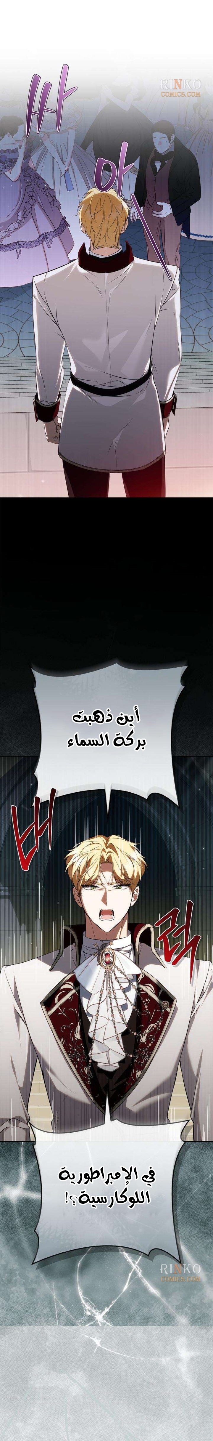 الصفحة 11