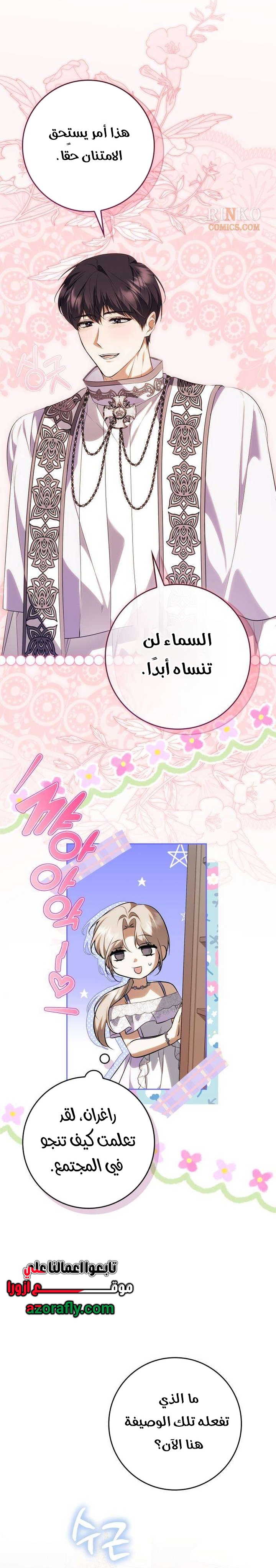 الصفحة 25