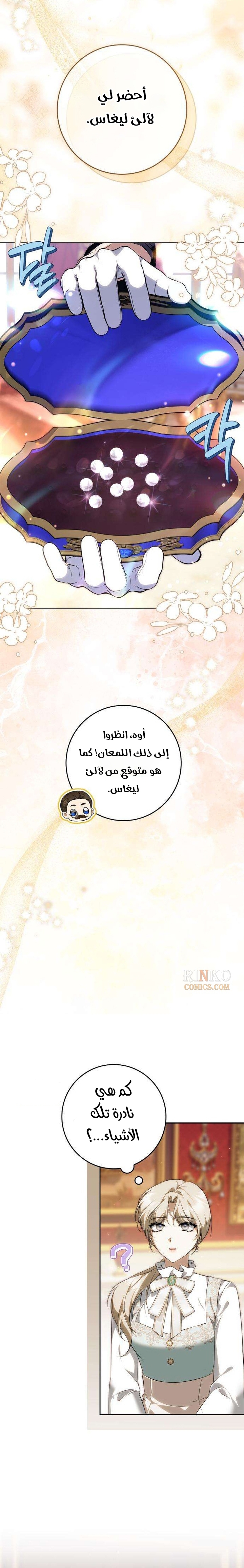 الصفحة 25