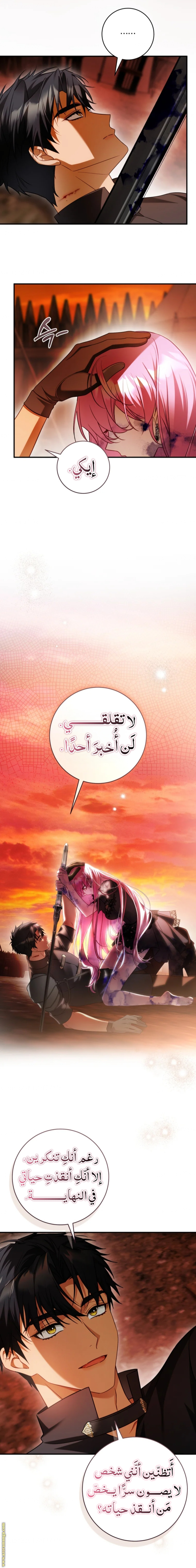 الصفحة 11