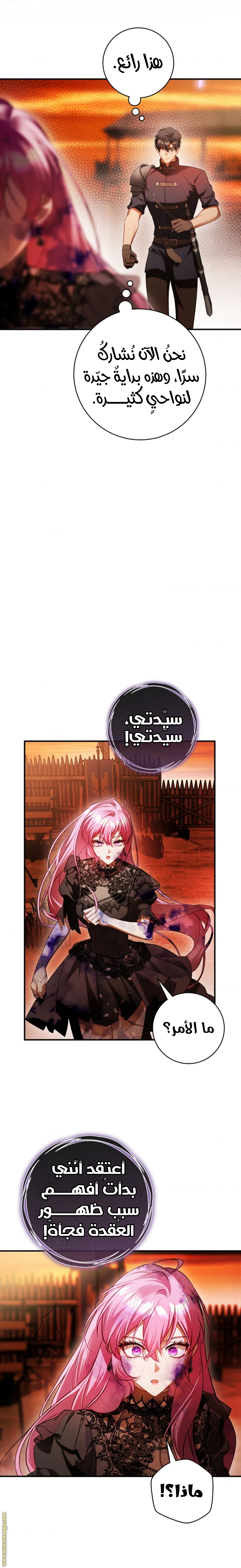 الصفحة 16