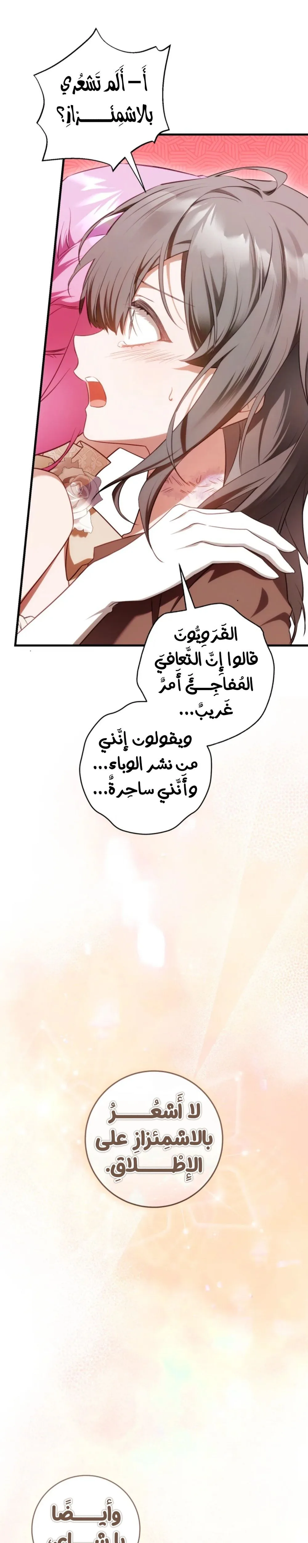 الصفحة 17