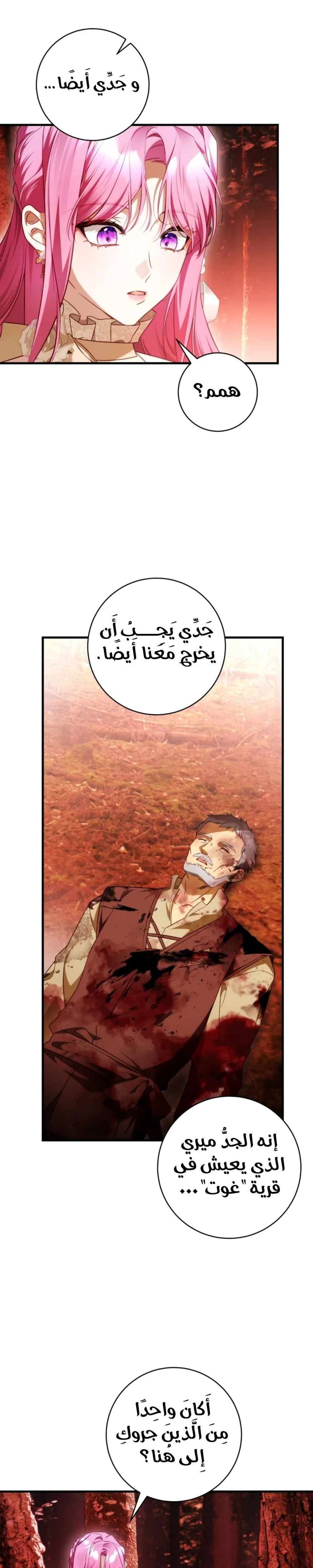 الصفحة 24
