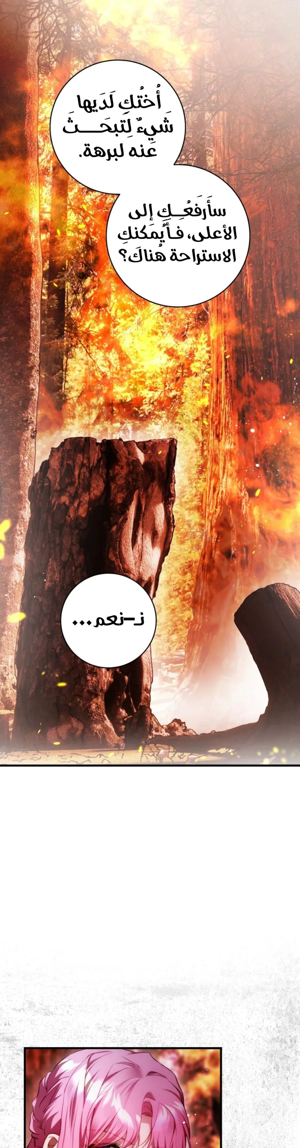 الصفحة 38