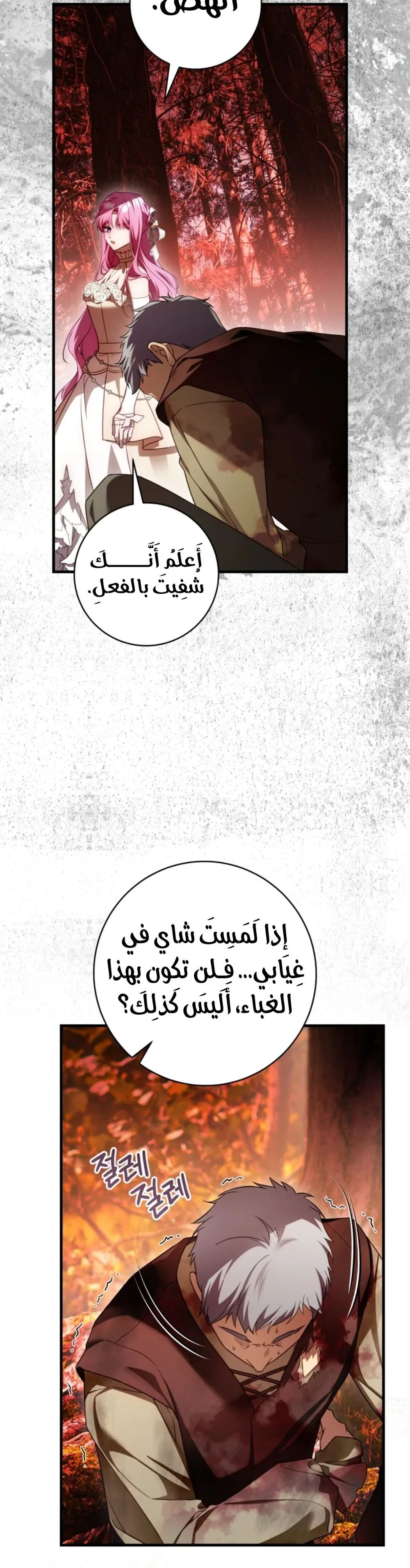 الصفحة 40