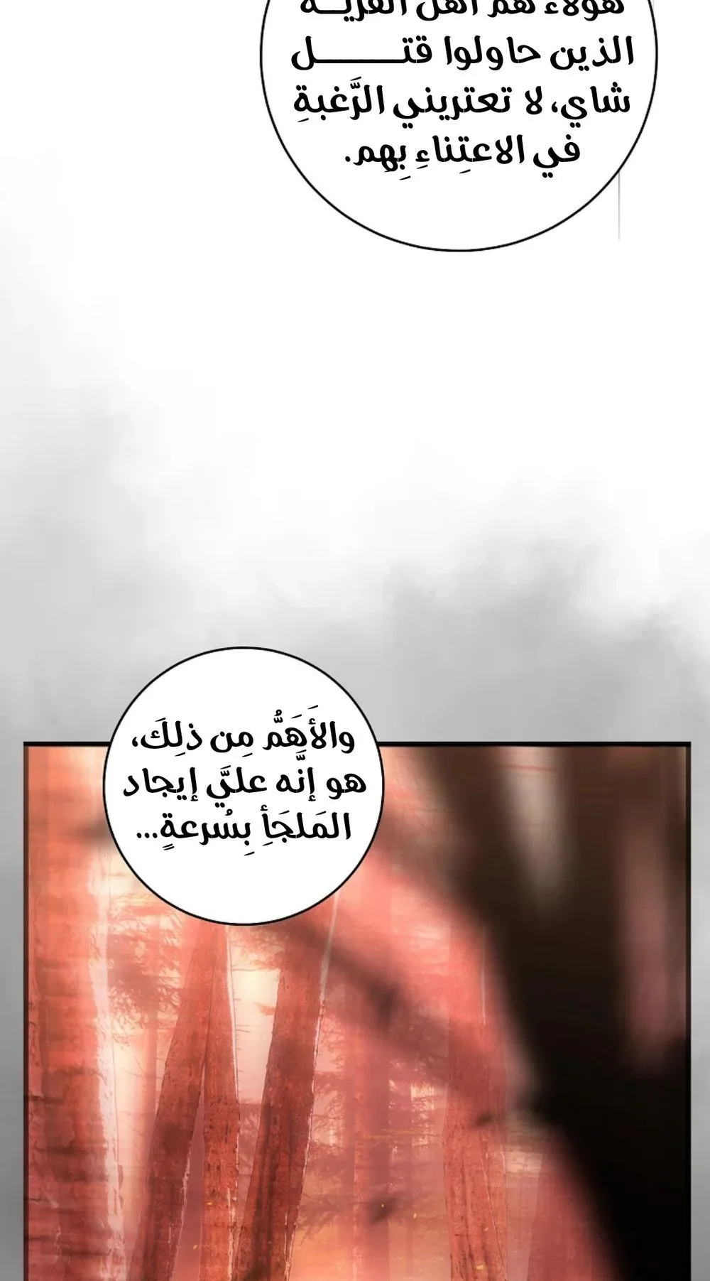 الصفحة 43