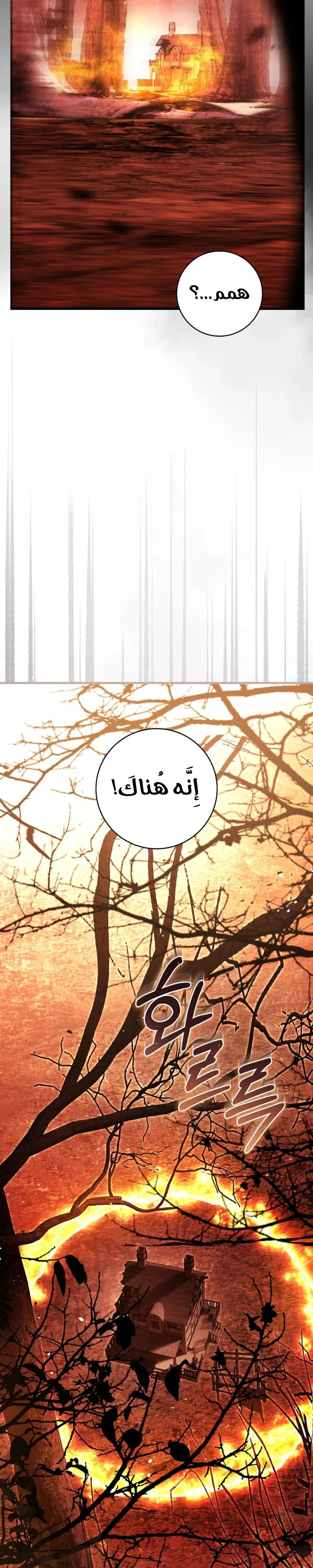 الصفحة 44