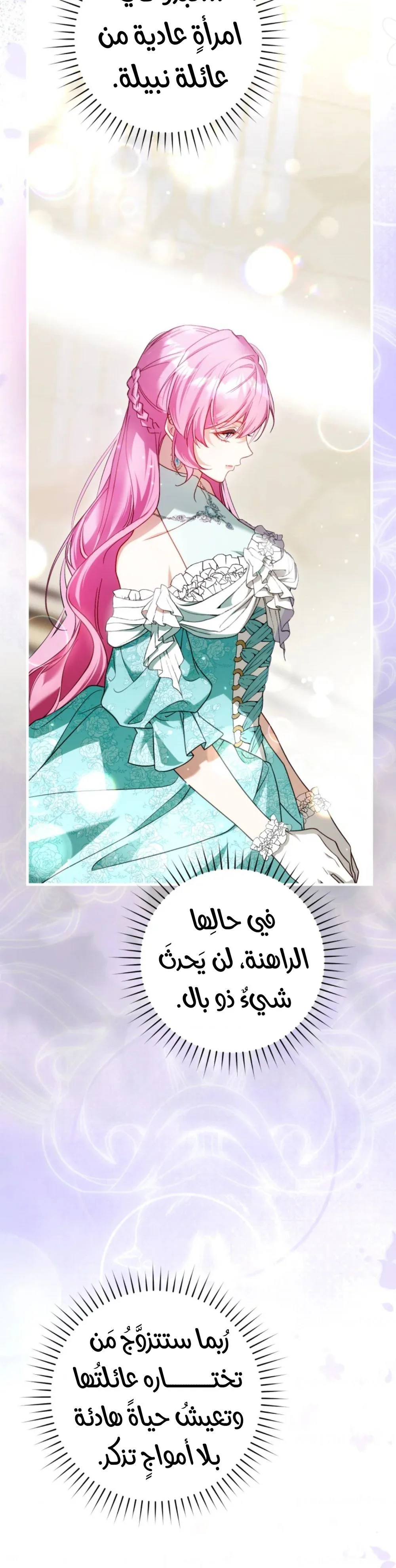 الصفحة 25