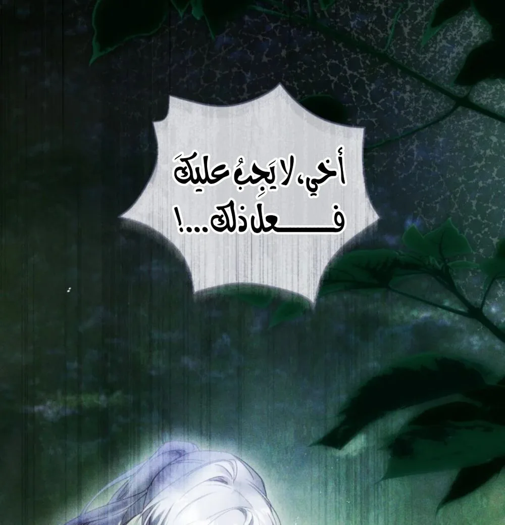 الصفحة 28