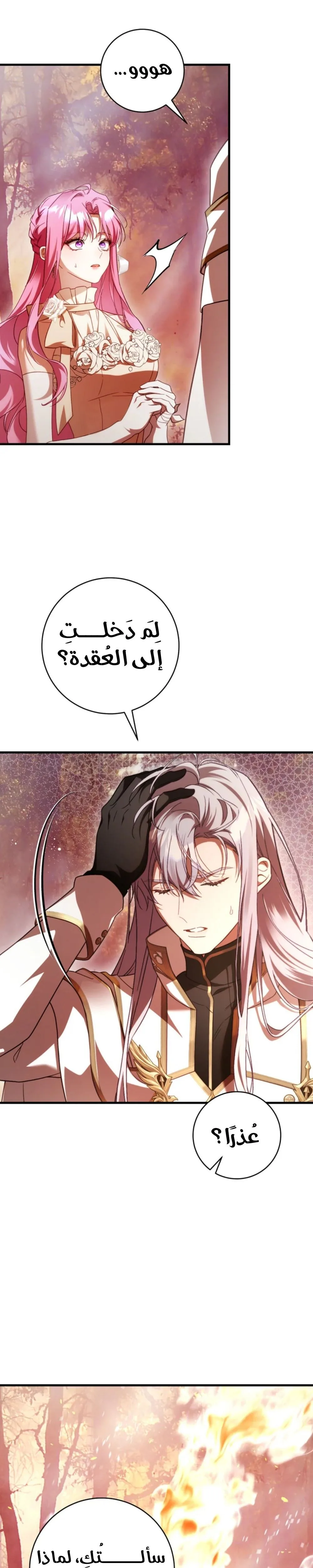 الصفحة 43