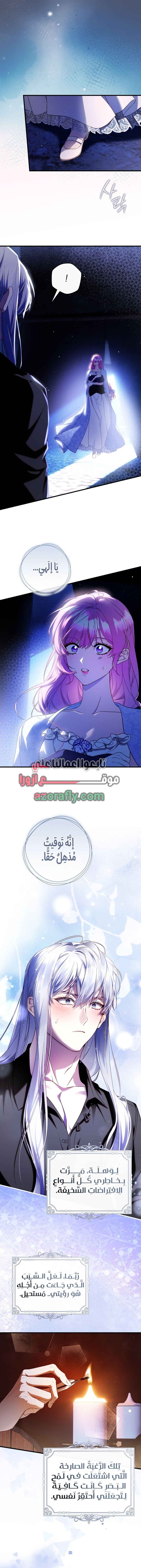 الصفحة 15