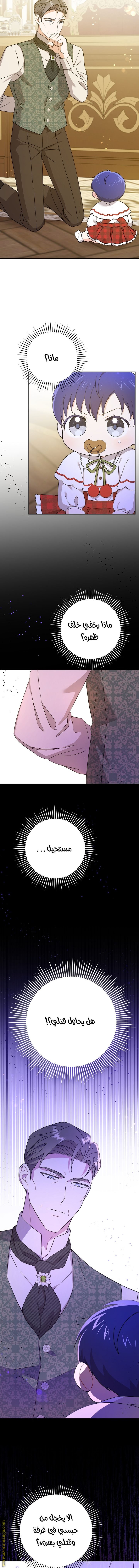 الصفحة 14