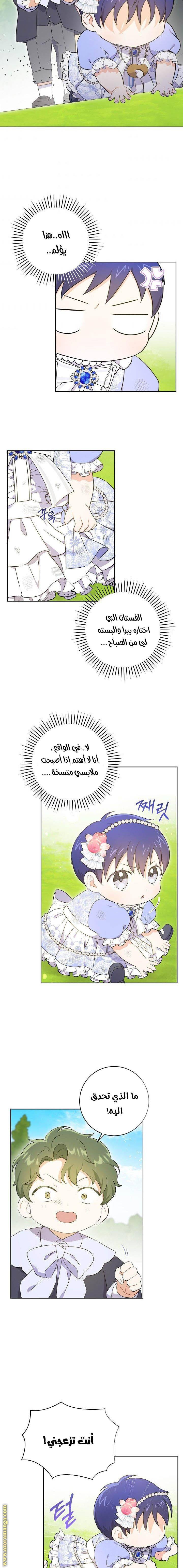 الصفحة 11