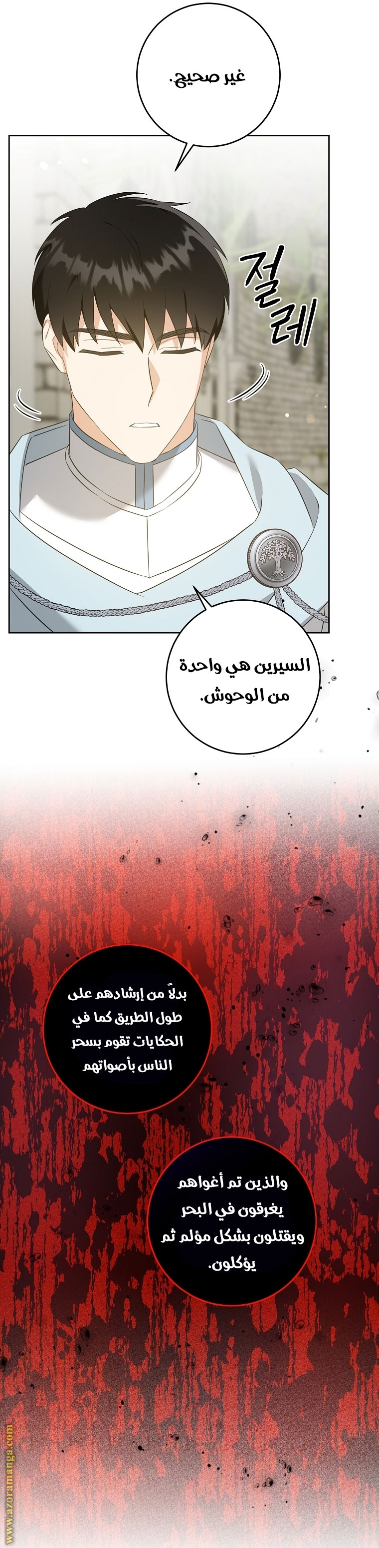 الصفحة 13
