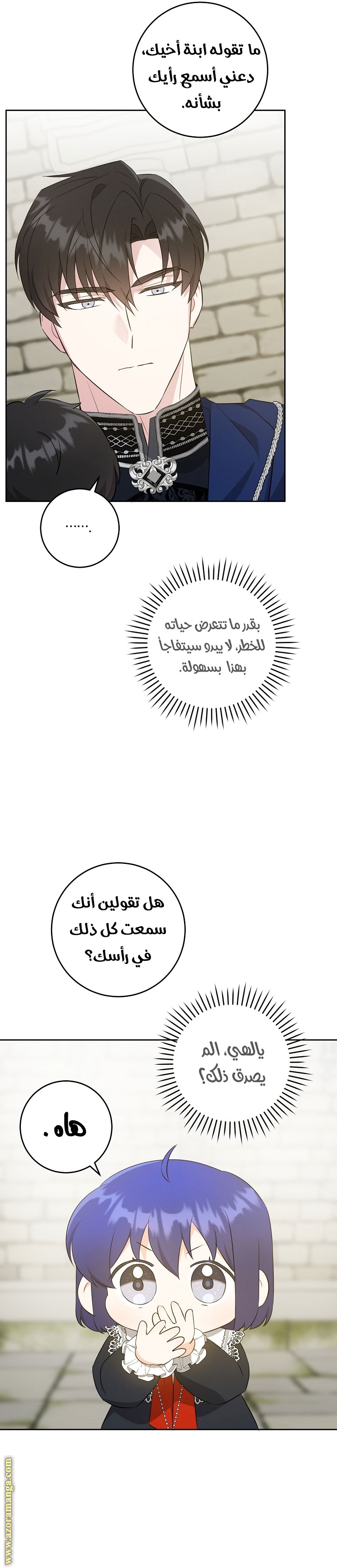 الصفحة 25