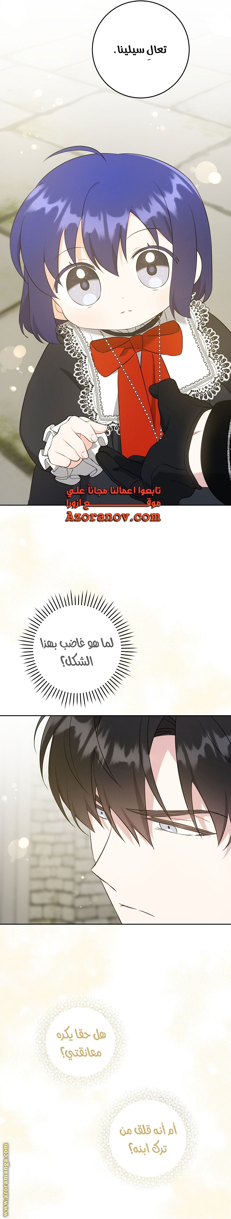 الصفحة 29