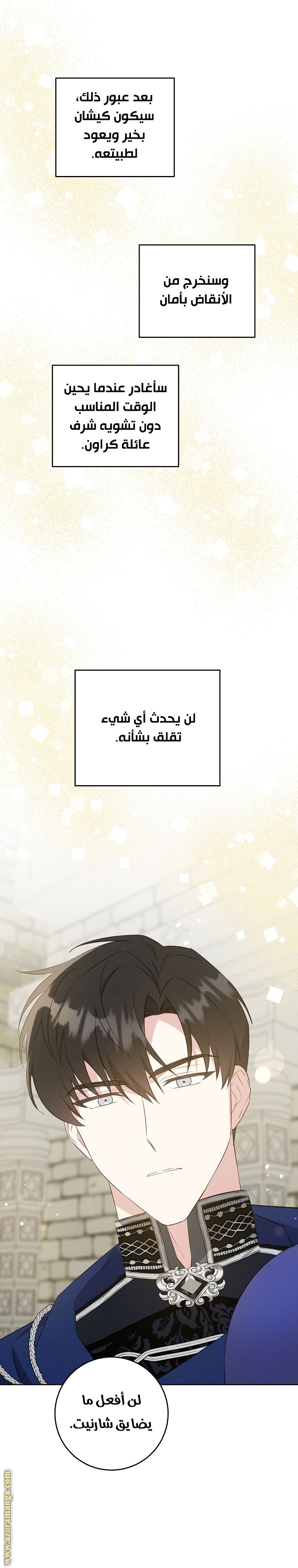 الصفحة 31