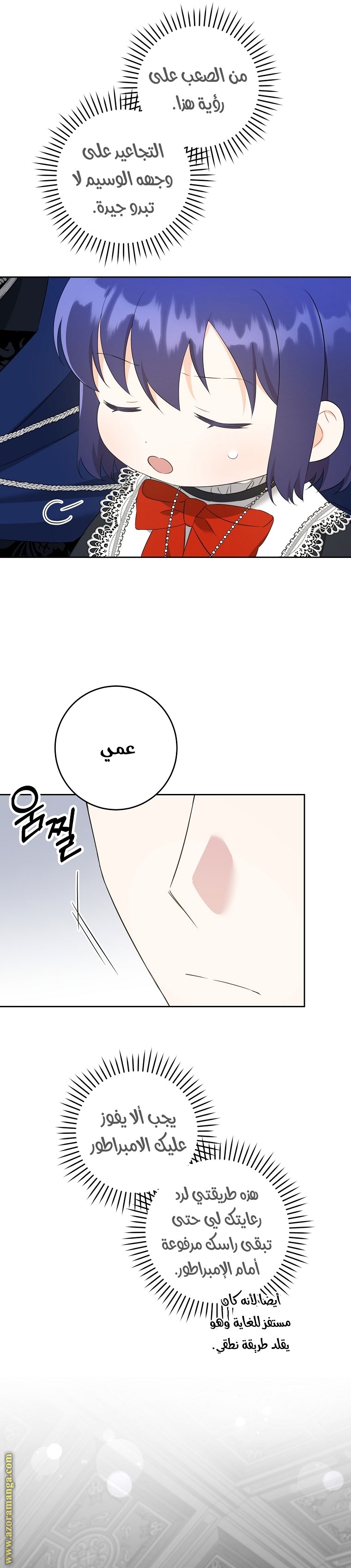 الصفحة 17