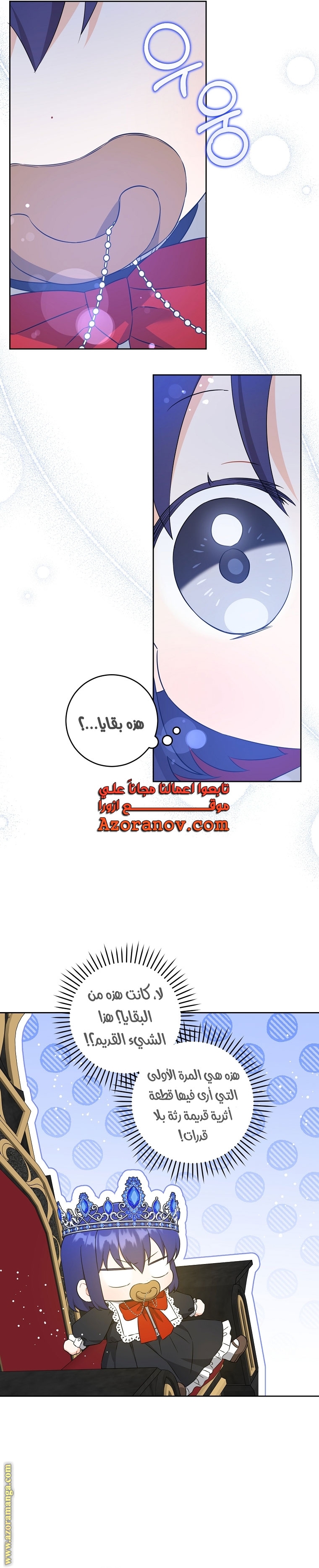 الصفحة 13