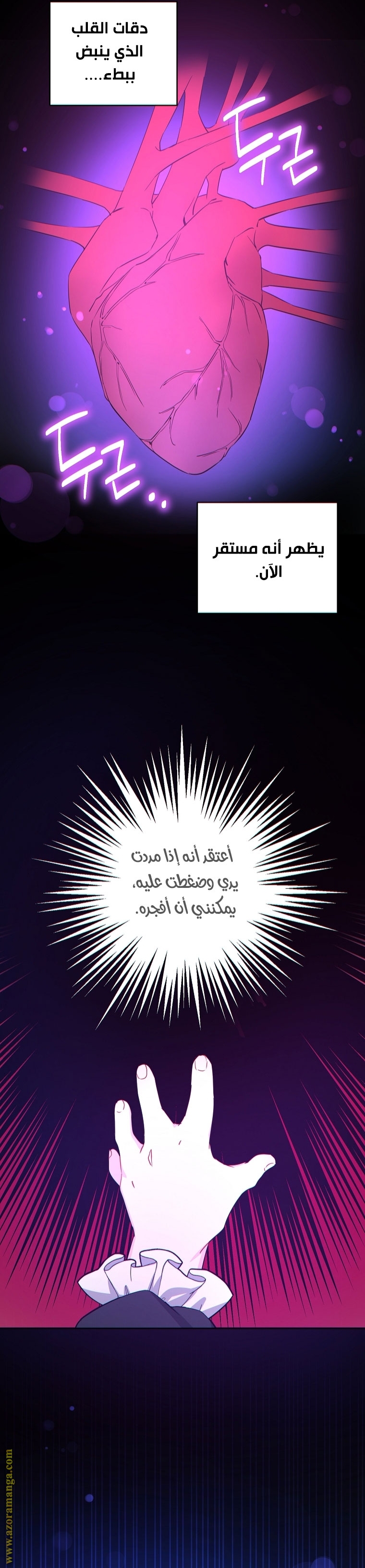 الصفحة 16
