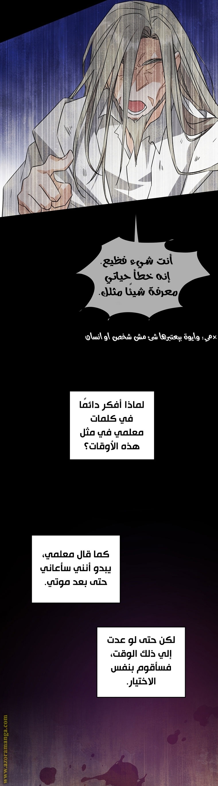 الصفحة 25