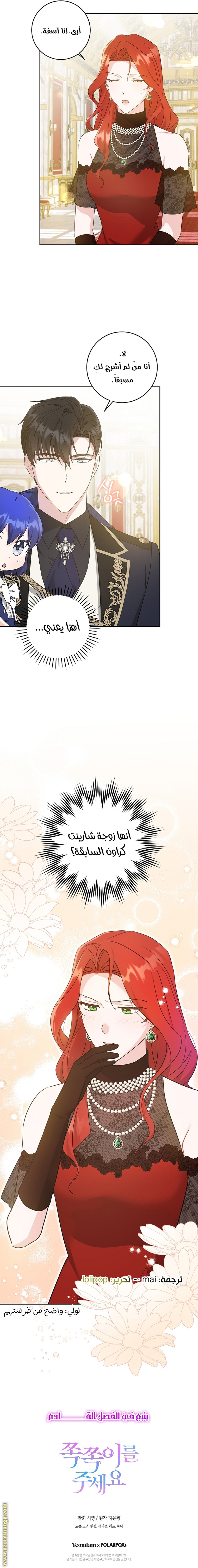 الصفحة 17