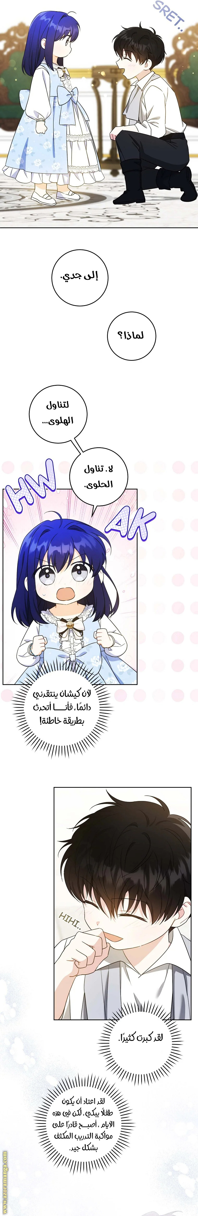 الصفحة 17
