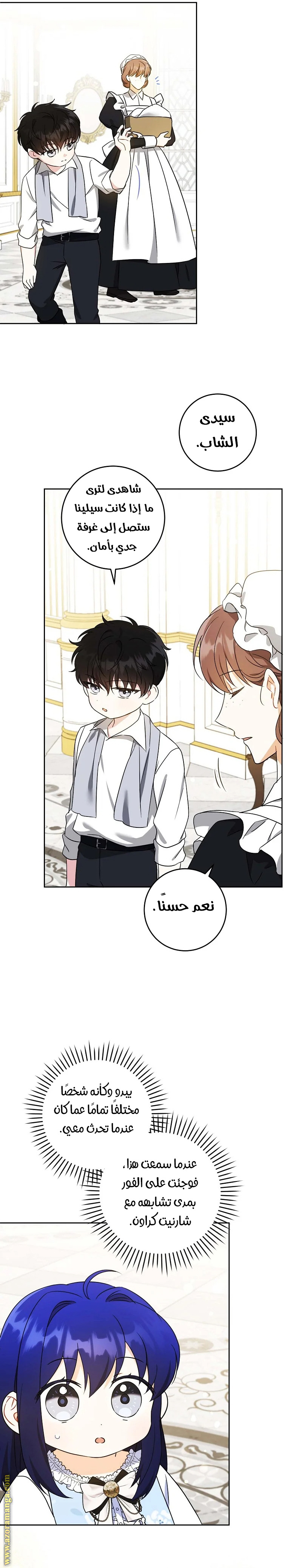 الصفحة 21
