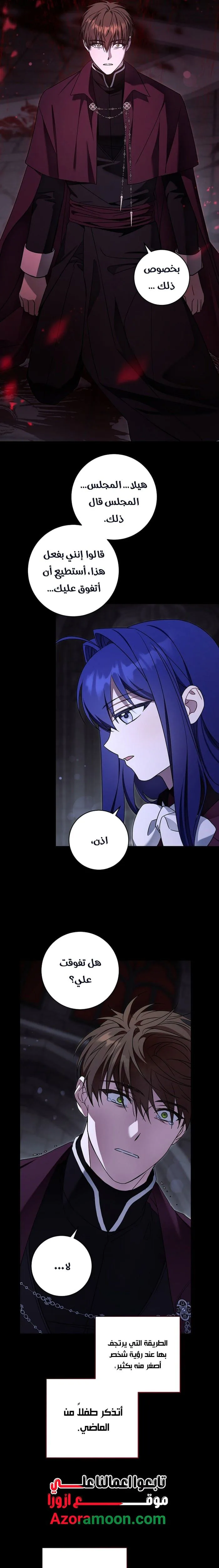 الصفحة 17