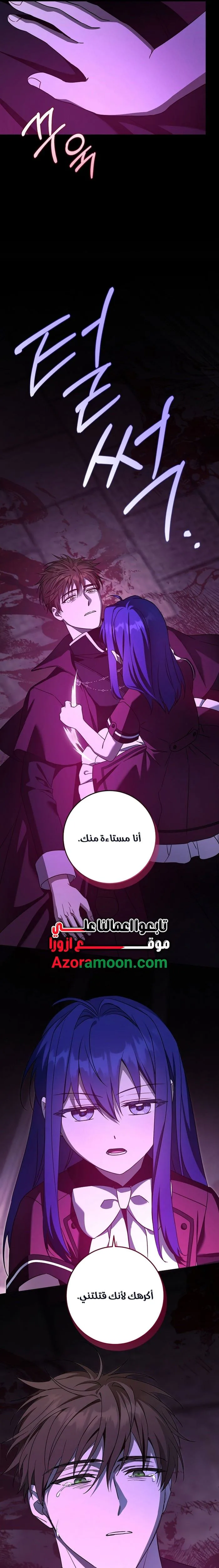 الصفحة 25