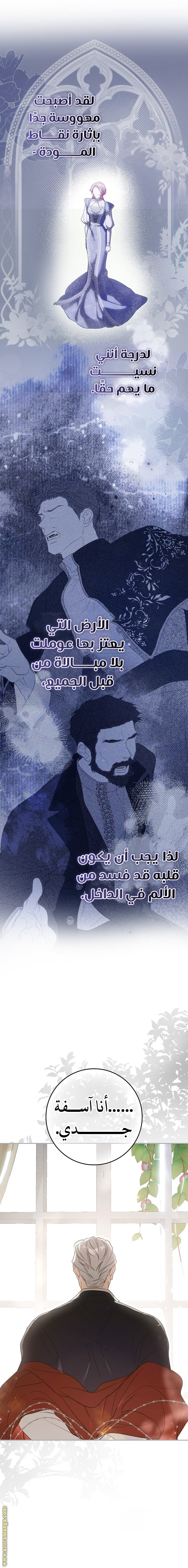الصفحة 13