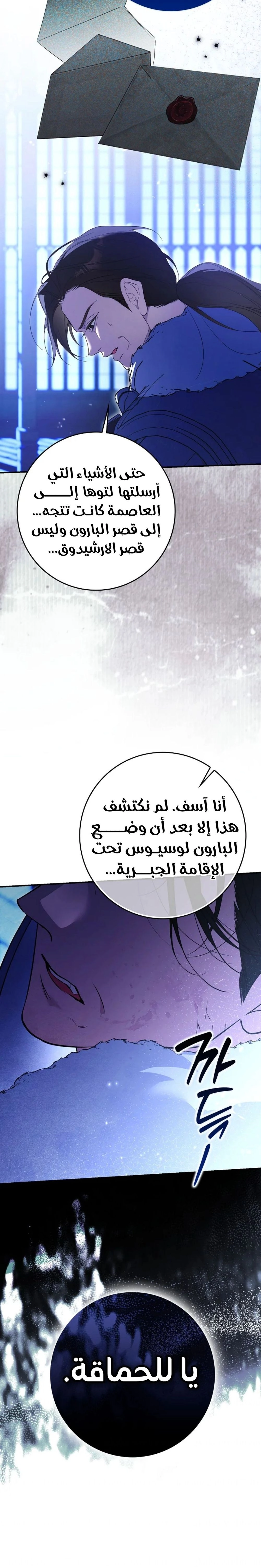 الصفحة 17