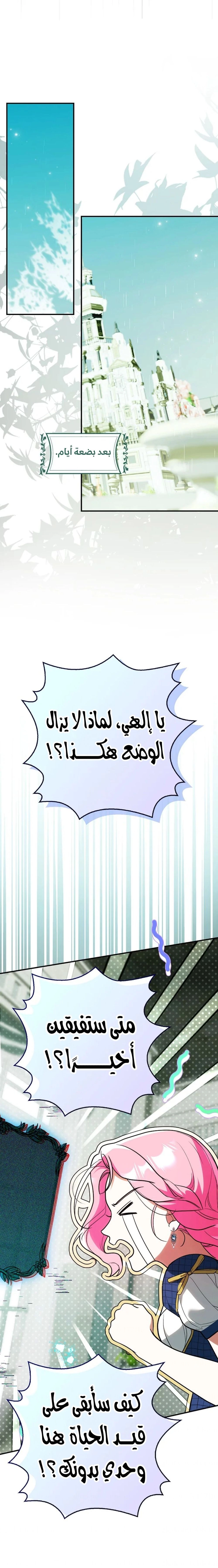 الصفحة 19