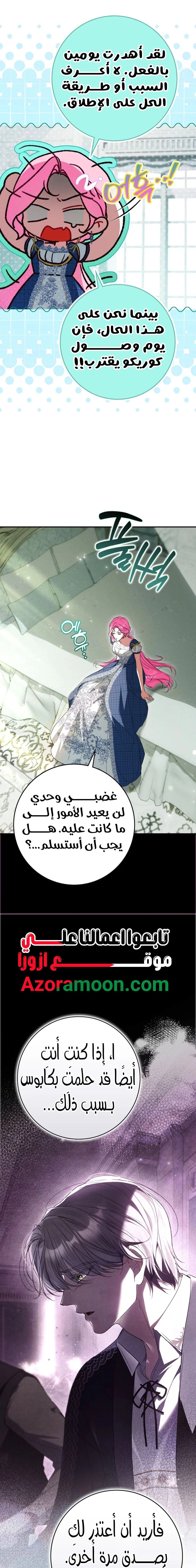 الصفحة 20