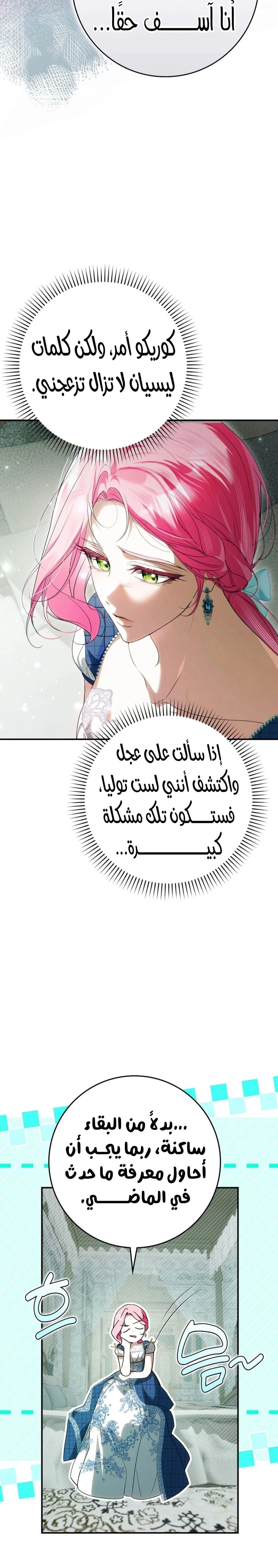 الصفحة 21
