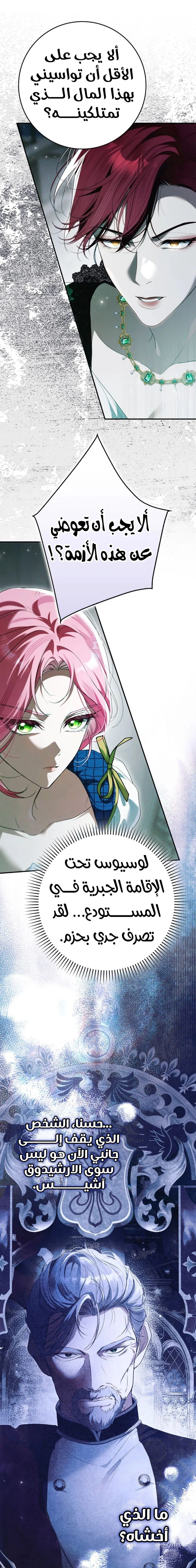 الصفحة 26