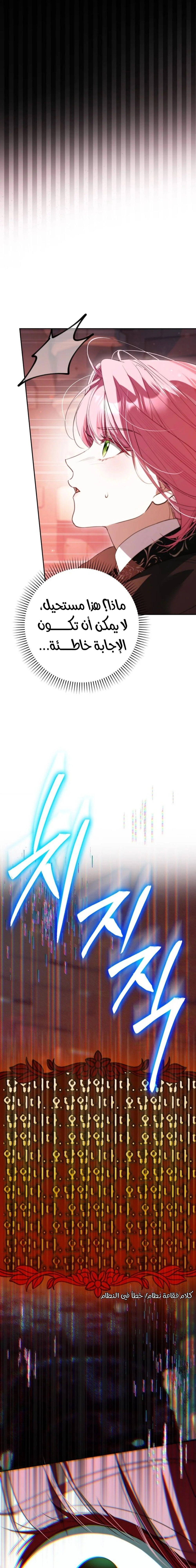 الصفحة 24