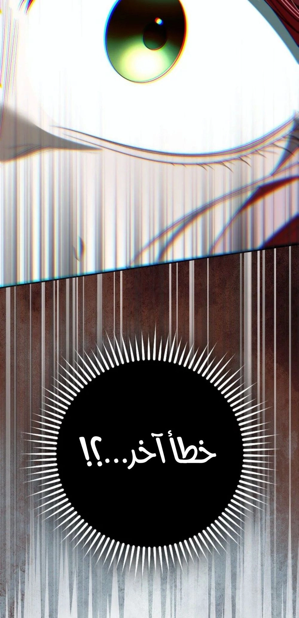 الصفحة 25