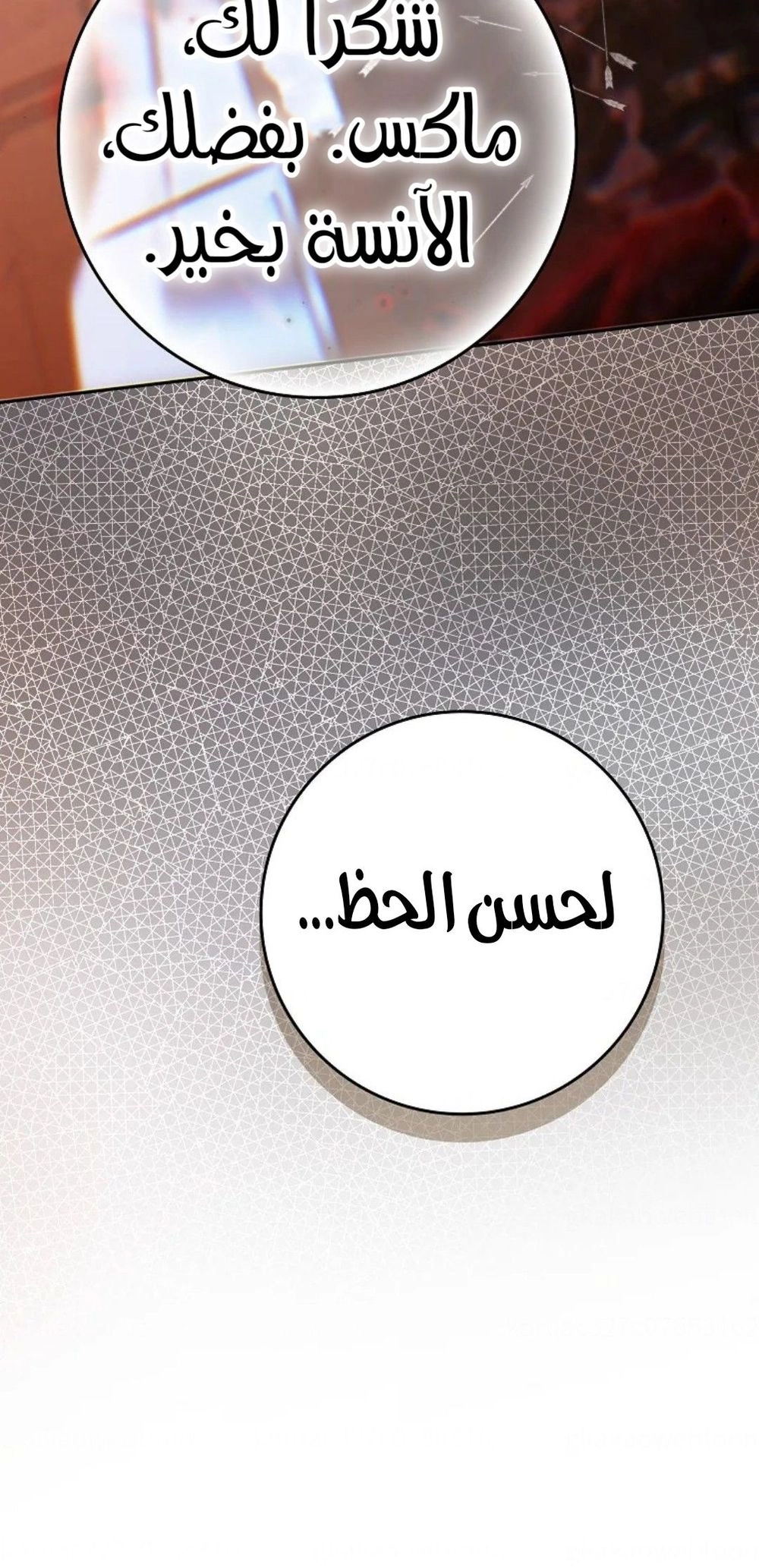 الصفحة 27