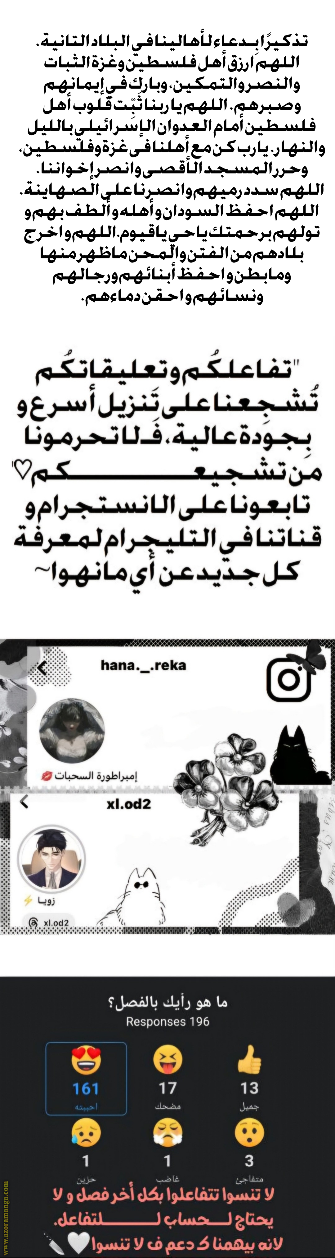 الصفحة 11